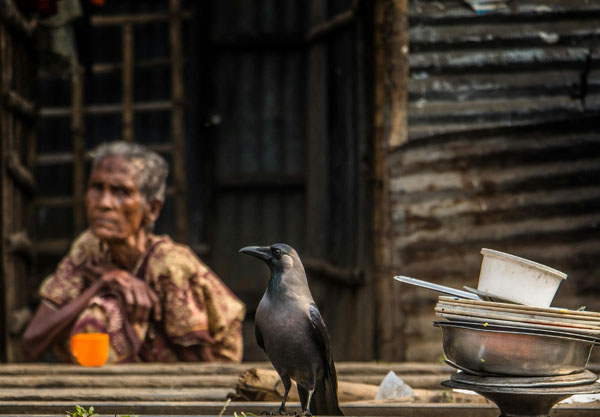 贫穷陷阱：我们为什么摆脱不了贫困？-思维脑洞