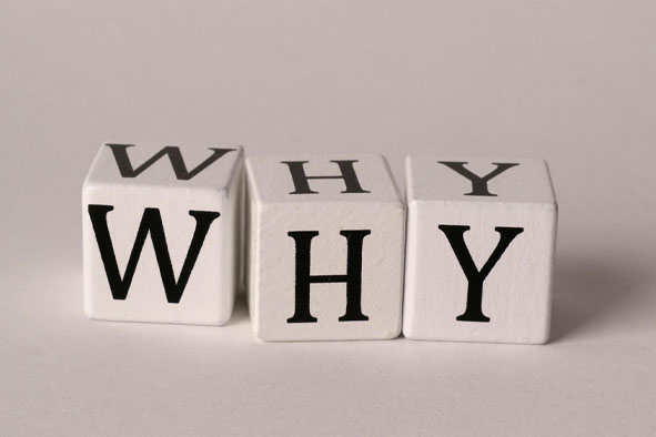 人们为什么总相信虚假信息-思维脑洞