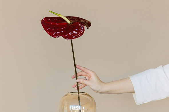 别让任何人打乱你的生活节奏-思维脑洞