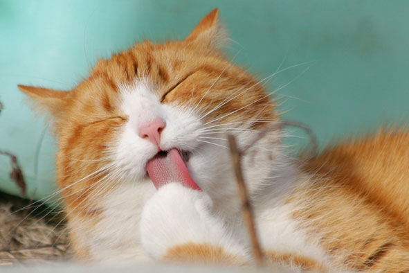 简化生活，提升幸福感-思维脑洞