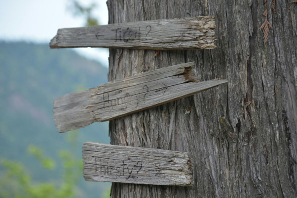 事业最开始的现金流从哪里来？一个人需要做什么才会有所成就？-思维脑洞