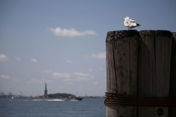 学习即自由-思维脑洞
